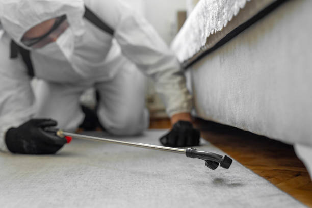 Professional Cockroach Control technician working in Pulaski, WI